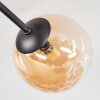 Chehalis Deckenleuchte Glas 10 cm, 12 cm Bernsteinfarben, 6-flammig