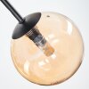 Chehalis Deckenleuchte Glas 12 cm Bernsteinfarben, Rauchfarben, 5-flammig