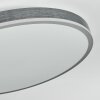 Salmi Deckenpanel LED Grau, Silber, 1-flammig, Fernbedienung