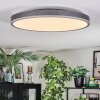 Salmi Deckenpanel LED Grau, Silber, 1-flammig, Fernbedienung