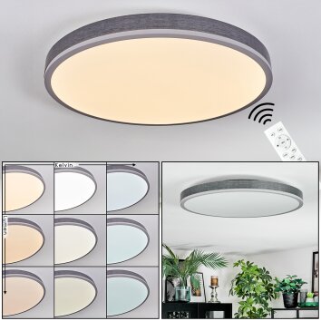 Salmi Deckenpanel LED Grau, Silber, 1-flammig, Fernbedienung