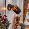 Fallhagen Wandleuchte Schwarz, 1-flammig