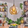 Ripoll Hängeleuchte Glas 30 cm Gold, 1-flammig