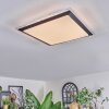 Castasegna Deckenpanel LED Schwarz, Weiß, 1-flammig
