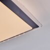 Castasegna Deckenpanel LED Schwarz, Weiß, 1-flammig