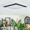 Castasegna Deckenpanel LED Schwarz, Weiß, 1-flammig
