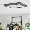 Finsrud Deckenpanel LED Schwarz, 1-flammig