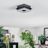 Walon Deckenleuchte LED Schwarz, 1-flammig
