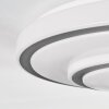 Borin Deckenleuchte LED Grau, Weiß, 1-flammig