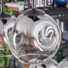Ripoll Hängeleuchte Glas 15 cm Klar, Rauchfarben, 6-flammig