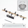 Koyoto Deckenleuchte Glas 15 cm Gold, Schwarz, 8-flammig