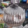 Ripoll Hängeleuchte Glas 15 cm Bernsteinfarben, Klar, Rauchfarben, 6-flammig