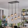 Ripoll Hängeleuchte Glas 15 cm Klar, Rauchfarben, 6-flammig