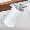 Dalan Deckenleuchte LED Naturfarben, Weiß, 3-flammig