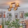 Ripoll Deckenleuchte Glas 15 cm Gold, Schwarz, 8-flammig