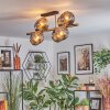 Ripoll Deckenleuchte Glas 15 cm Gold, Schwarz, 8-flammig