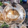 Ripoll Hängeleuchte Glas 20 cm Bernsteinfarben, Klar, 6-flammig