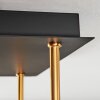 Koyoto Deckenleuchte Glas 15 cm Gold, Schwarz, 5-flammig