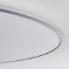 Champa Deckenpanel LED Silber, 1-flammig, Fernbedienung