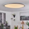 Champa Deckenpanel LED Silber, 1-flammig, Fernbedienung