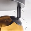 Koyoto Deckenleuchte Glas 15 cm Gold, Klar, Kupferfarben, Rauchfarben, 3-flammig