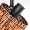 Cando Deckenleuchte Schwarz, 1-flammig