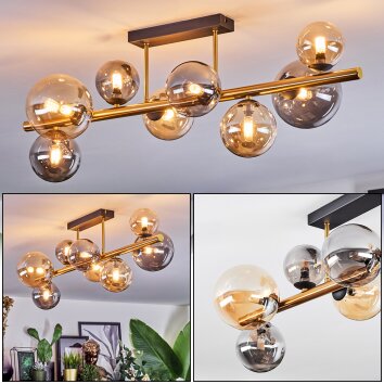 Chehalis Deckenleuchte Glas 10 cm, 12 cm, 15 cm Gold, Schwarz, 8-flammig Chehalis Deckenleuchte Glas 10 cm, 12 cm, 15 cm Gold, Schwarz, 8-flammig