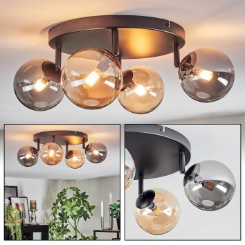 Chehalis Deckenleuchte Glas 12 cm Bernsteinfarben, Rauchfarben, 4-flammig Chehalis Deckenleuchte Glas 12 cm Bernsteinfarben, Rauchfarben, 4-flammig