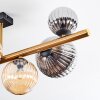 Chehalis Deckenleuchte Glas 10 cm, 12 cm, 15 cm Gold, Schwarz, 8-flammig