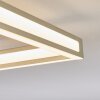 Danor Deckenleuchte LED Nickel-Matt, 1-flammig