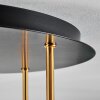 Koyoto Deckenleuchte Glas 15 cm Messing, Schwarz, 5-flammig