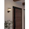 EGLO PANTETE Solarleuchte LED Schwarz, 1-flammig, Bewegungsmelder