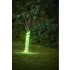 EGLO FLATNEON Z LED Streifen Weiß, 1-flammig, Farbwechsler