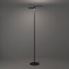 EGLO CASTELPOTO 1 Stehleuchte LED Schwarz