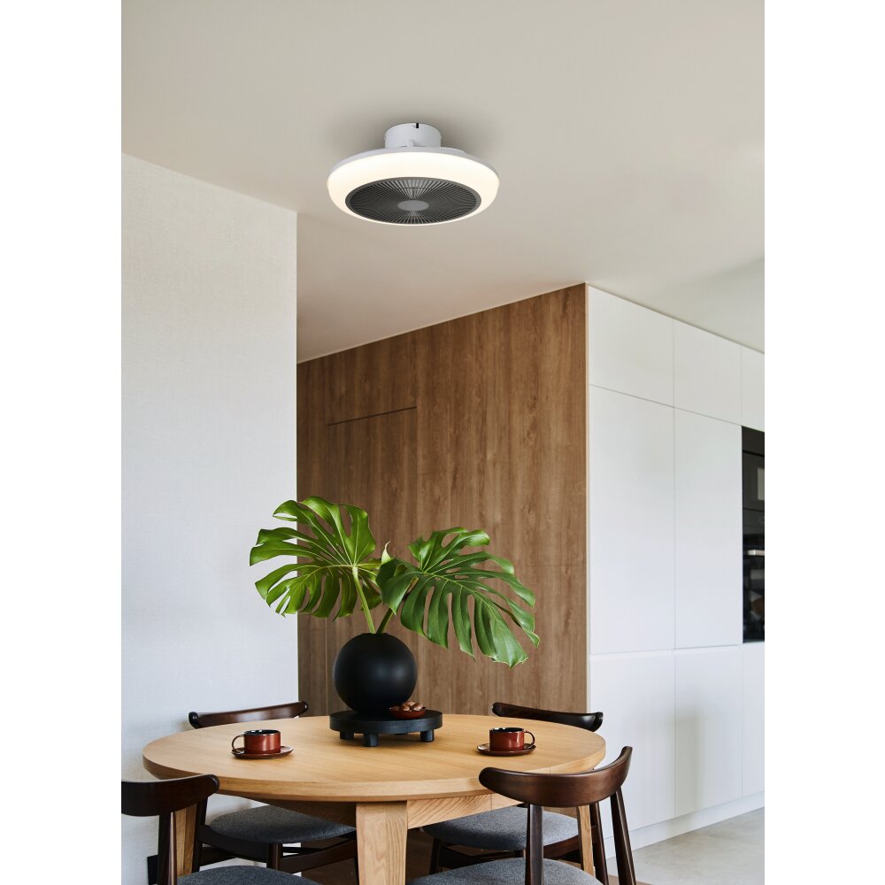 EGLO SAYULITA 1 Leuchte mit Ventilator LED Weiß, Fernbedienung main product photo