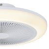 EGLO SAYULITA 1 Leuchte mit Ventilator LED Weiß, Fernbedienung