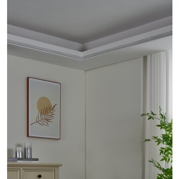 EGLO NEON-STRIPE-Z Leuchtband LED Weiß, Farbwechsler