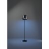EGLO ALFERO-Z Stehleuchte LED Schwarz, Farbwechsler