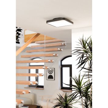 EGLO LORETELLO-Z Deckenleuchte LED Schwarz, Farbwechsler EGLO LORETELLO-Z Deckenleuchte LED Schwarz, Farbwechsler