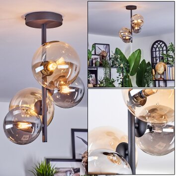 Chehalis Deckenleuchte Glas 12 cm, 15 cm Bernsteinfarben, Rauchfarben, 4-flammig