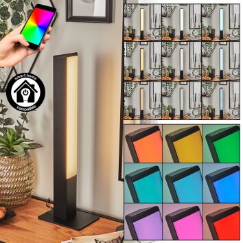 Delan Tischleuchte LED Schwarz, 1-flammig, Farbwechsler Delan Tischleuchte LED Schwarz, 1-flammig, Farbwechsler