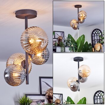 Chehalis Deckenleuchte Glas 12 cm, 15 cm Bernsteinfarben, Rauchfarben, 4-flammig