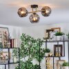 Ripoll Deckenleuchte Glas 15 cm Gold, Schwarz, 3-flammig