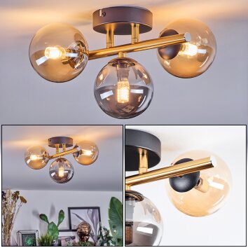 Chehalis Deckenleuchte Glas 10 cm Gold, Schwarz, 3-flammig