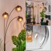 Koyoto Stehleuchte Glas 15 cm Klar, Rauchfarben, 3-flammig