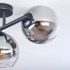 Koyoto Deckenleuchte Glas 15 cm Klar, Rauchfarben, 3-flammig