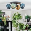 Koyoto Deckenleuchte Glas 15 cm Blau, Gold, Grün, 4-flammig