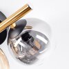 Chehalis Deckenleuchte Glas 10 cm Gold, Schwarz, 3-flammig