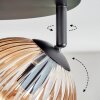 Koyoto Deckenleuchte Glas 15 cm Bernsteinfarben, Klar, 4-flammig