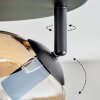Ripoll Deckenleuchte Glas 15 cm Bernsteinfarben, Klar, 4-flammig